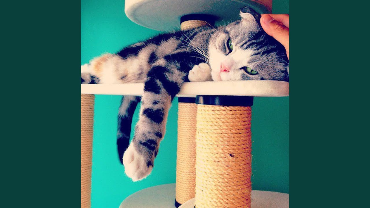 Solve (Original Mix)