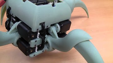Aracna: An Open-Source Quadruped Robotic Platform