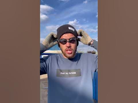 Стрижка овец - YouTube
