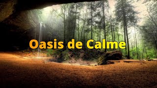 Oasis de Calme : Méditation au Cœur de la Forêt sous la Pluie avec Chants d'Oiseaux