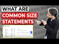 Common Size Statement - What Is It and How To Calculate?