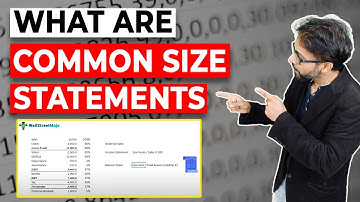 Common Size Statement - What Is It and How To Calculate?