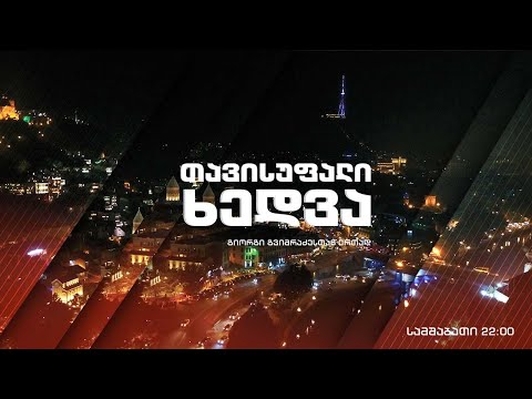 ეკონომიკური განვითარების გეგმა - ლევან დავითაშვილი „თავისუფალ ხედვაში“ #LIVE