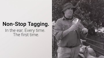 NEW TagFaster Automatic Applicator for Sheep & Goats