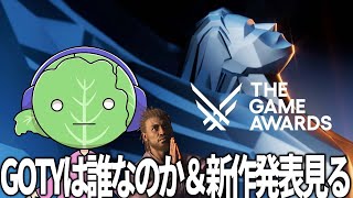 キャベツの人【ゲーム紹介】の配信のサムネイル画像