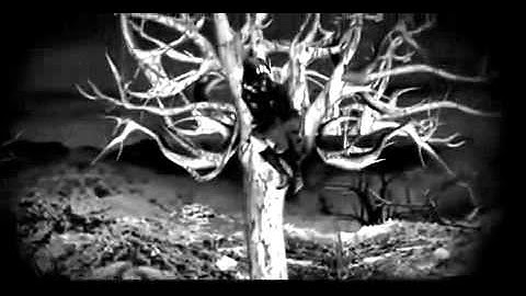Papa Roach - Scars (Official Music Video)