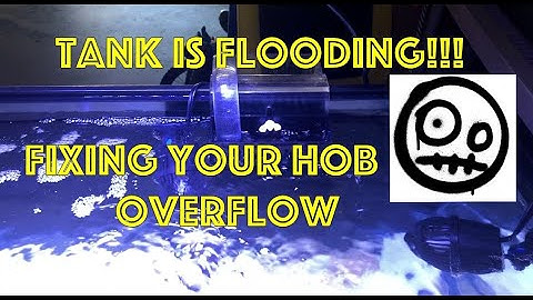 OMG - Frag Tank is Flooding!!! - How to Fix HOB Overflow!