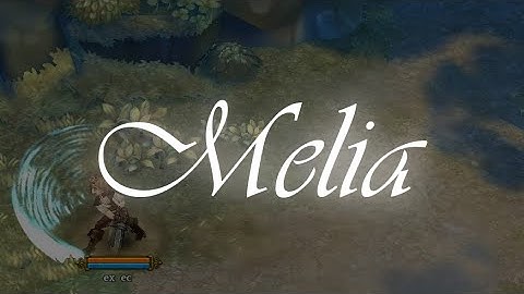 Melia: Some small additions