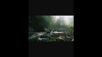 تجويد٨ #دويتو #nature #اكسبلورفولو #اكسبلورر #peace #اكسبلور #beautiful #duet