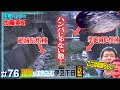 半世紀前にグッピーがいた川の終着点にナニがいる？【史上最多】絶滅危惧種・在来種たち発見。伊豆下田の川で捕獲調査した結果…完結編≫生物ハンター加藤英明