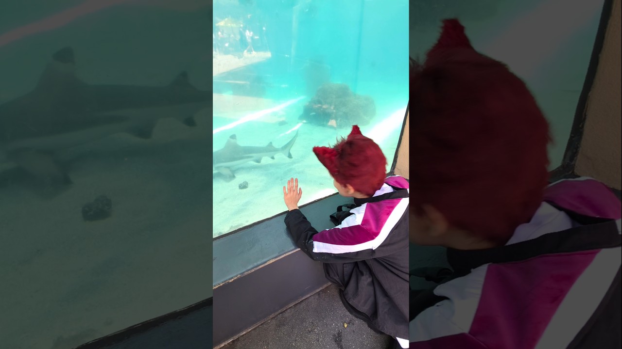 Cosplaying to the Aquarium
