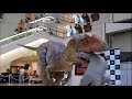 DINO A LIVE ディノアライブ@ゲートシティ大崎【JPN SUB】