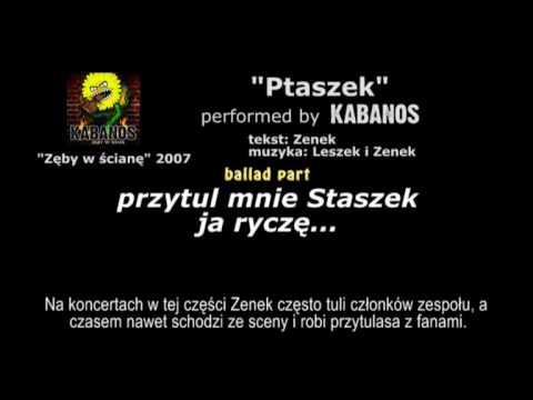 Ptaszek