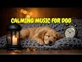 Relaxing Music for Dogs Home Alone 🐶💤 | 12 HOURS of Comfort for Nervous, Lonely Pets