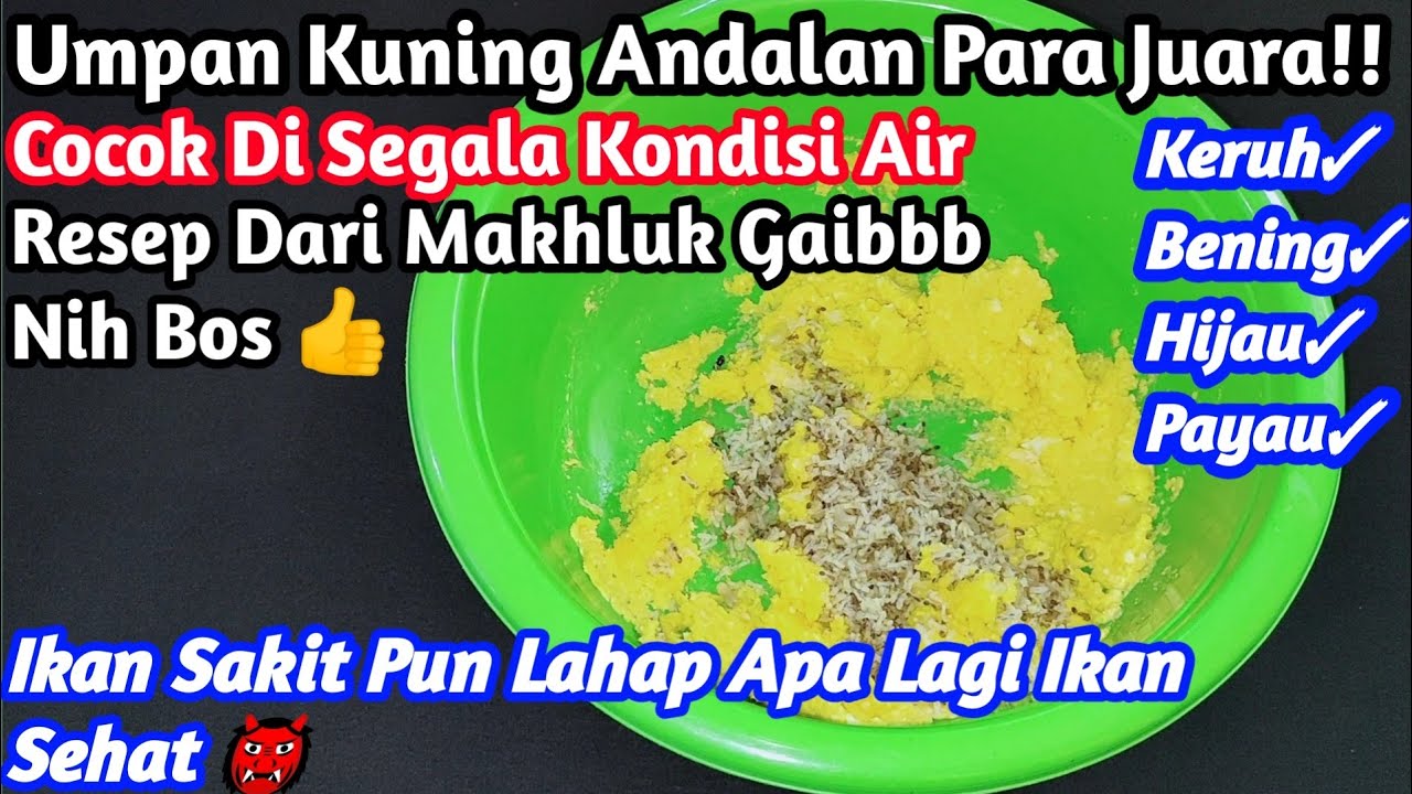 😻Umpan Kuning Ikan Mas Paling Gacurrr Andalan Para Juara/Bikin Tetangga ...