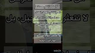 أمثال وحكم عالمية حكم مقولات امثال حكمة