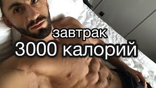 ЗАВТРАК 3000 КАЛОРИЙ | массанаборный коктейль от ARTAKFIT