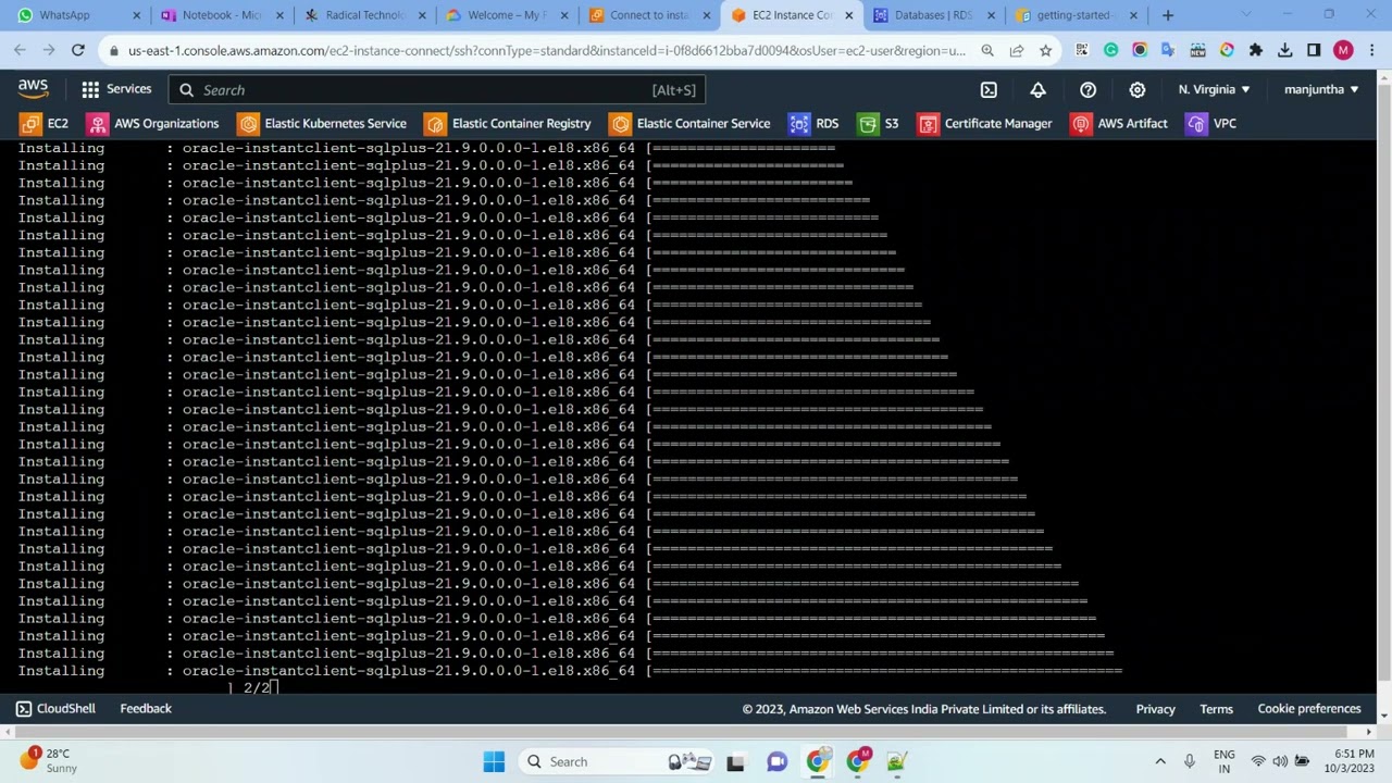 Relational Database Service (Amazon RDS)-Creating and connecting to an Oracle DB instance - Part-13