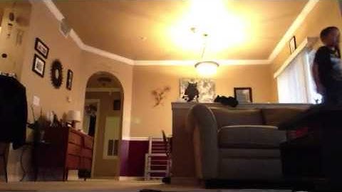 Parkour dash vault monkey vault