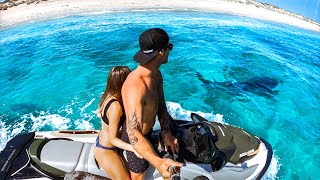Baby Turtles, Swimming With TIGER SHARK \u0026 Close Call With The DEADLIEST Fish In The Sea - Ep 160
