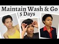 How I Maintain My Wash & Go 5 Days | Short Natural Hair - TWA