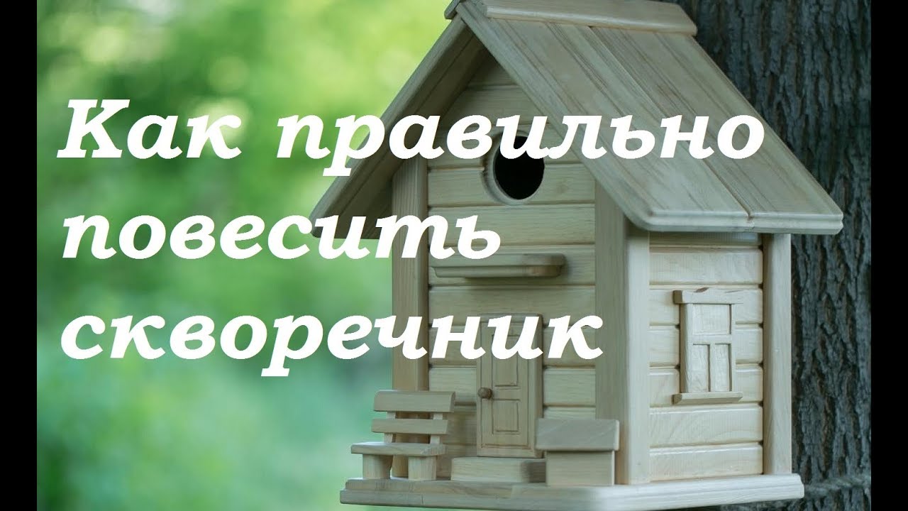 Скворечник в какую сторону света. Как правильно повесить скворечник. Скворечник как вешать правильно в какую сторону. Как правильно повешать скворечник. Как правильно вешать скворечник в какую сторону света.