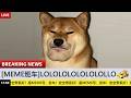 MEME Bus: Laughter and Reactions to Xiaonanliang #11