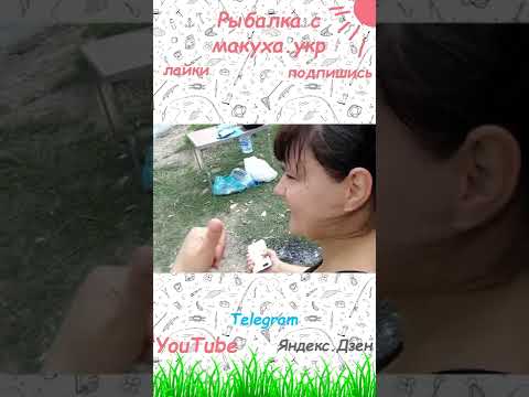 вот это крокодилл!!!
