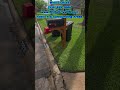 #houstontx #cincoranch #home ##houston ##pool #cleantok #cleaning ##poolcleaning #KatyTX #WhiteDrive