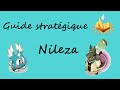 [Dofus] Nileza : Guide stratégique