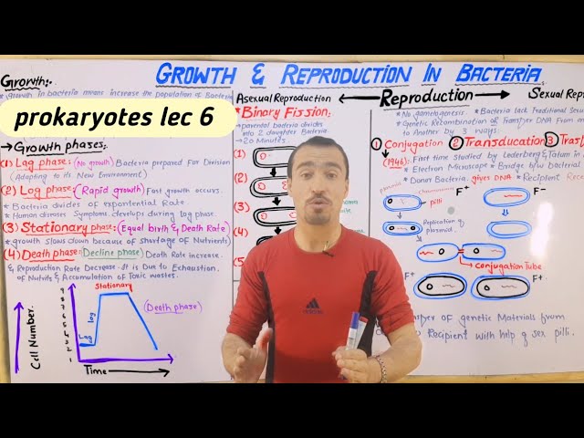 Bacteria/Growth/Reproduction/log/Lag/Stationary & death phase/Asexual/Sexual reproduction lec in h.