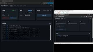 Tunnel Whisperer Tutorial