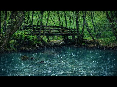 Calm the Mind - Healing Rain & Native American Flute for Anxiety Relief