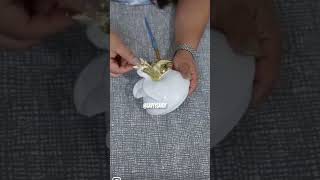 No botes tus decoraciones viejitas, transfórmalas #decoracion #shorts