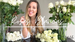 28 Tipos de ROSAS BLANCAS que [NO CONOCES] 😱 | Balulu Event Planner