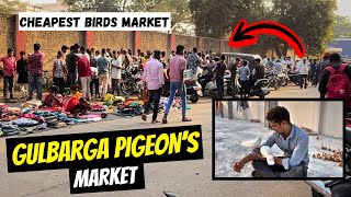 Gulbarga Pigeon’s Market 🕊️😍