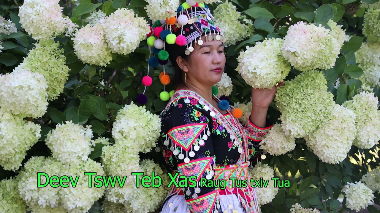 Deev Tswv Teb Xas Raug Tus Txiv Tua  9/2/2025