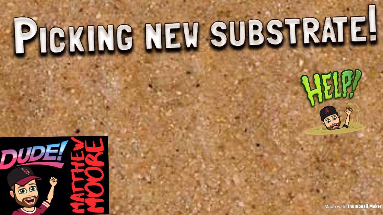 awesome oscillator Picking out the 60 gallon substrate