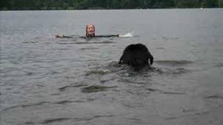 apple bank newfoundlands