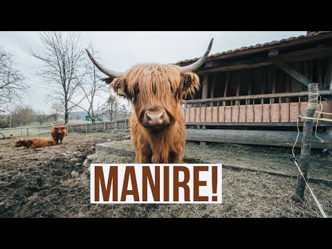 Igrališče Spindog - Igrajte svoje najboljše igre na spletu v Sloveniji