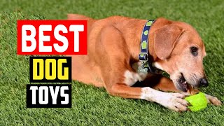 ✅Top 5 Best Eco Friendly Dog Toys To Help You Reduce Your Carbon Paw Print in 2024 by The Pets Products 71 views 7 days ago 4 minutes, 14 seconds