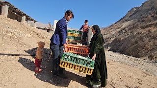 Download Lagu 💞👶👧💞Avin and Aylin's Childlike Adventures: The Colorful World of Rural Girls MP3