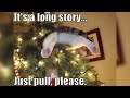 Funny christmas memes