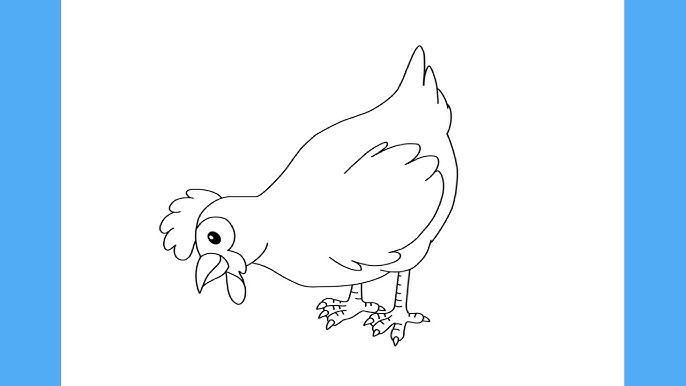 Como Desenhar Uma Galinha  Chicken drawing, Animal drawings, Bird