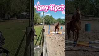 any tips? #equestrianjourney #foryoypage #horse #loki