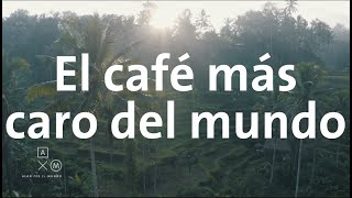 ·El café más caro del mundo 4k Bali | Alan por el mundo