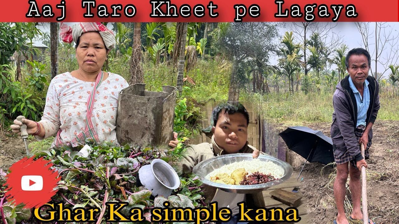 Bahut din ke baad Taro lagaya ll Arunachal Pradesh, North East India.