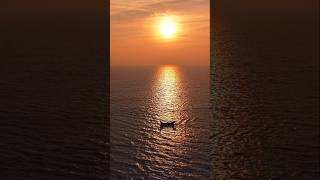 #joyofnature #beautyfulbangladesh #foryou #viralvideo #youtubeshorts #river
