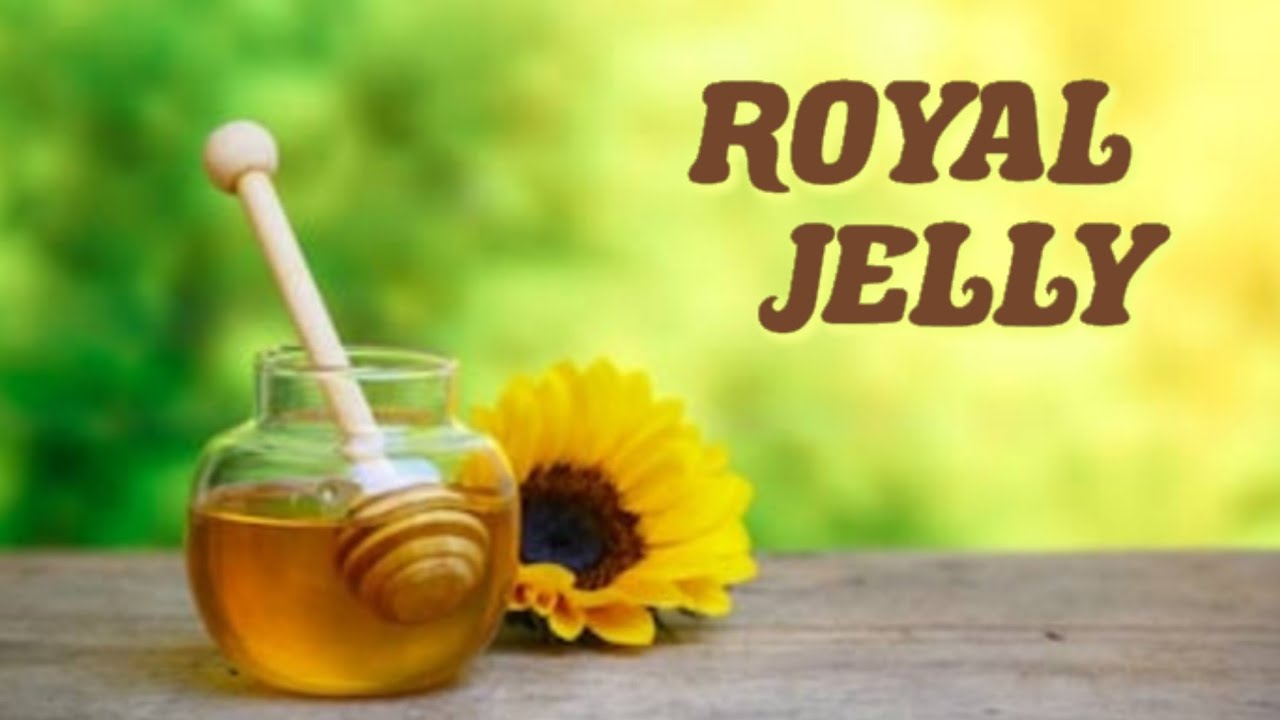 Royal Jelly YouTube