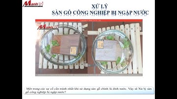 Xử lý sàn gỗ công nghiệp bị ngập nước